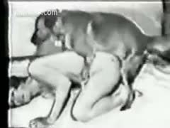 Husband captures a beastiality session with a serf married harlot.